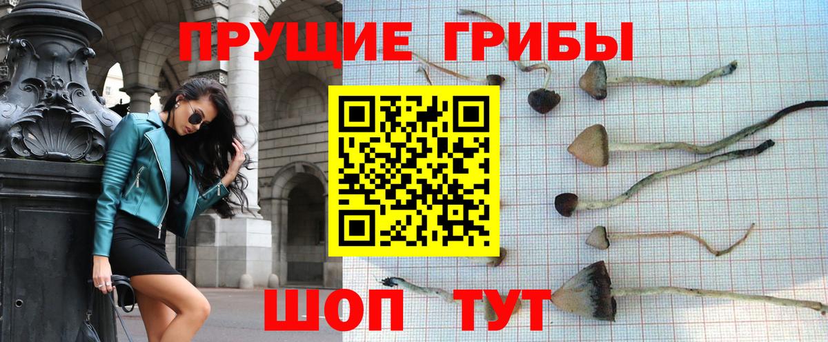 Избербаш  Галлюциногенные грибы мухоморы  Вход с VPN 